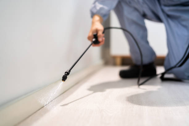 Licensed Termite Control service in Highlands, TX - Show Me Pest Control