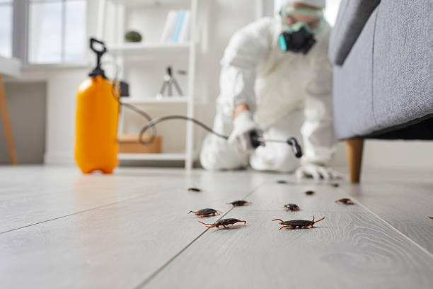 Post-Treatment Bed Bug Interceptor Monitoring in Highlands
